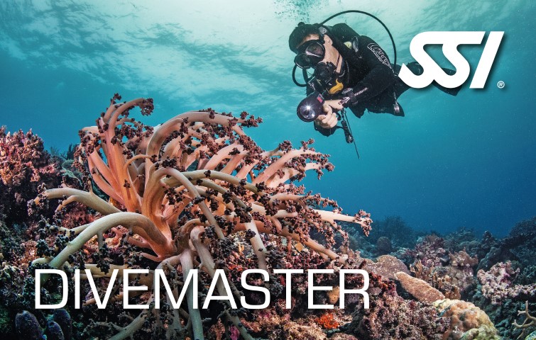 SSI-Dive Master Course